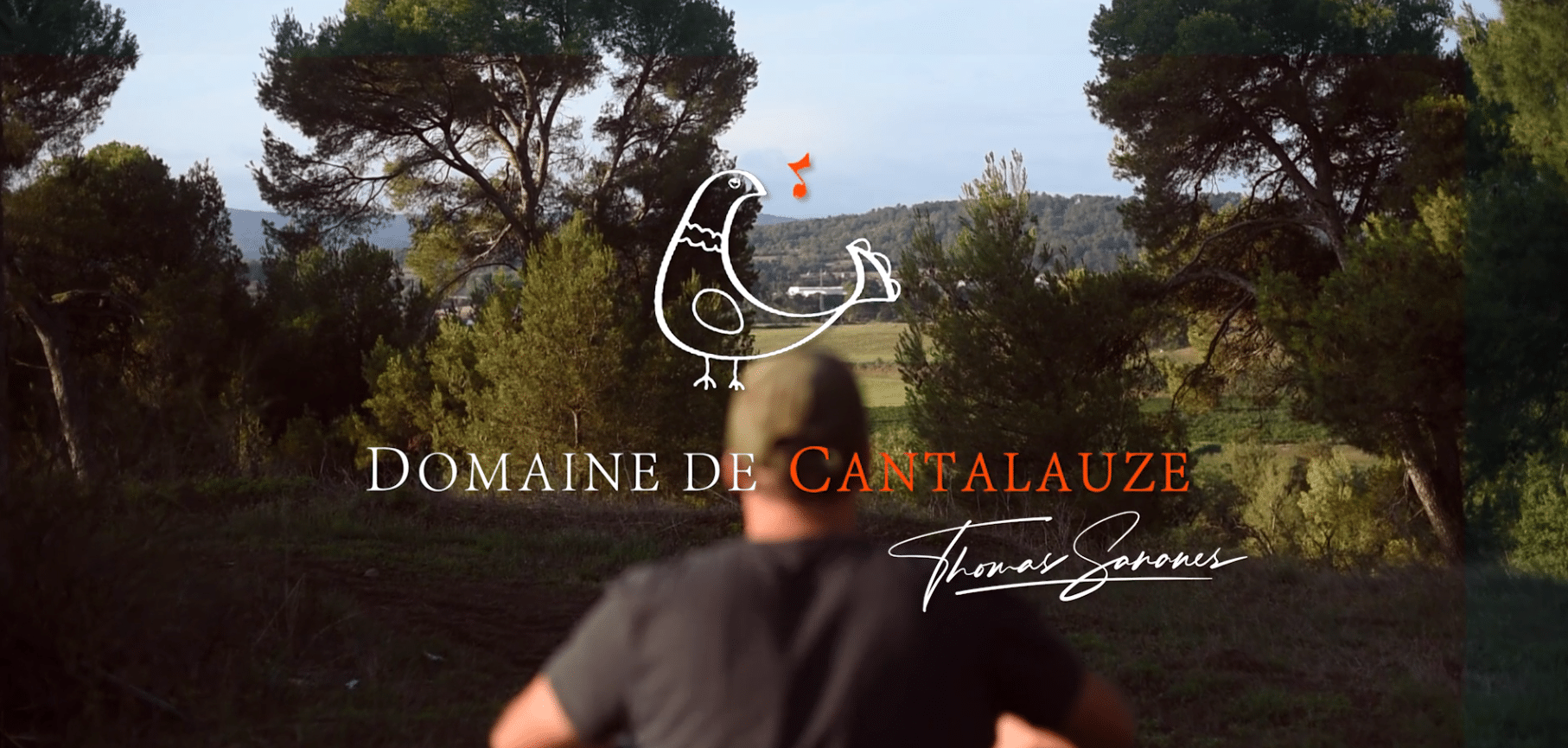 Logo Domaine de Cantaluze en forêt